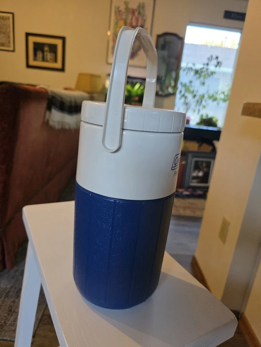 Coleman this water